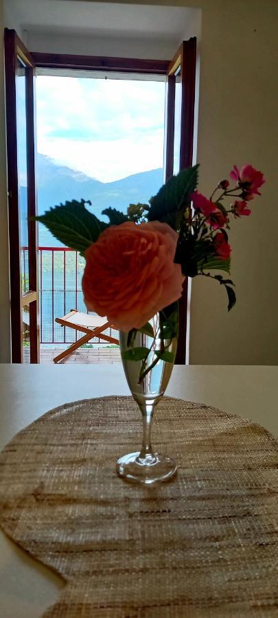Viewtiful Homestay Stazzona Ngoại thất bức ảnh